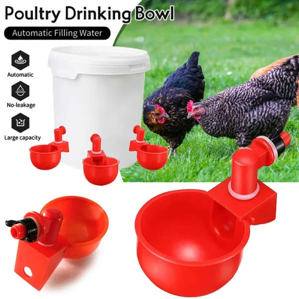 PoulCups - PoulCups